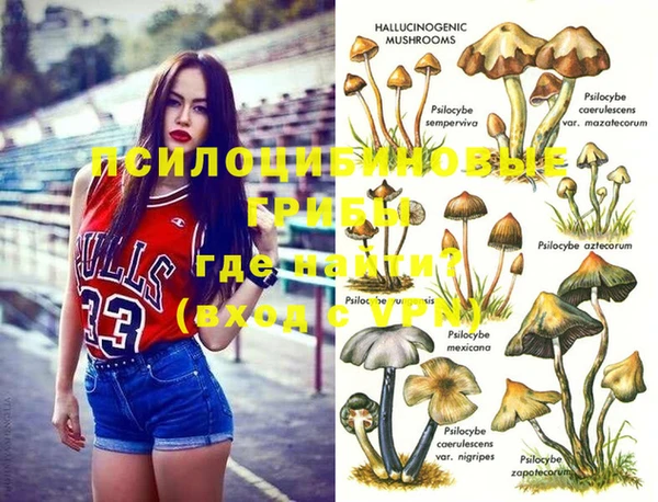дживик Осинники