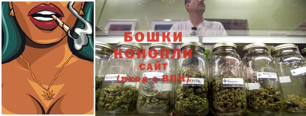 дживик Осинники