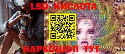 гашик Бийск