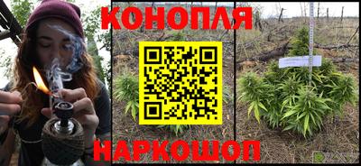 гашик Бийск