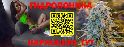 гашик Бийск