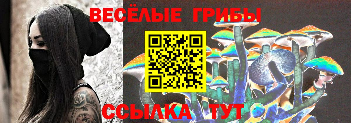Галлюциногенные грибы прущие грибы  Галлюциногенные грибы MAGIC MUSHROOMS  Вход с VPN  Приморско-Ахтарск 