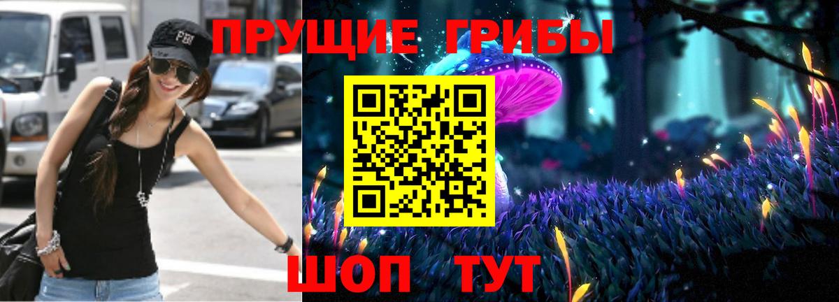 купить закладку  Приморско-Ахтарск  Галлюциногенные грибы Cubensis 