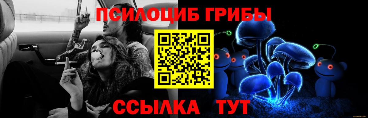 Галлюциногенные грибы Cubensis Приморско-Ахтарск